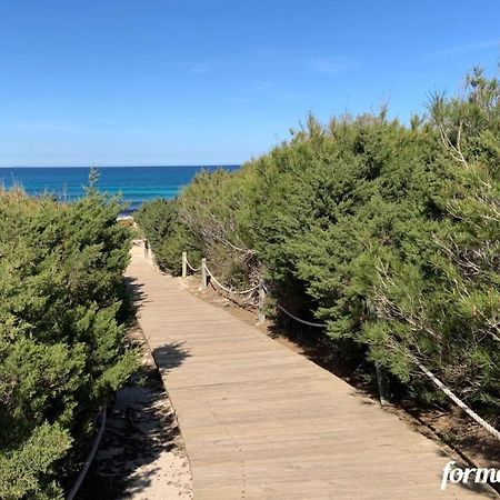 Apto Mar De Es Calo, A Metros De La Playa - Formentera Natural Luaran gambar